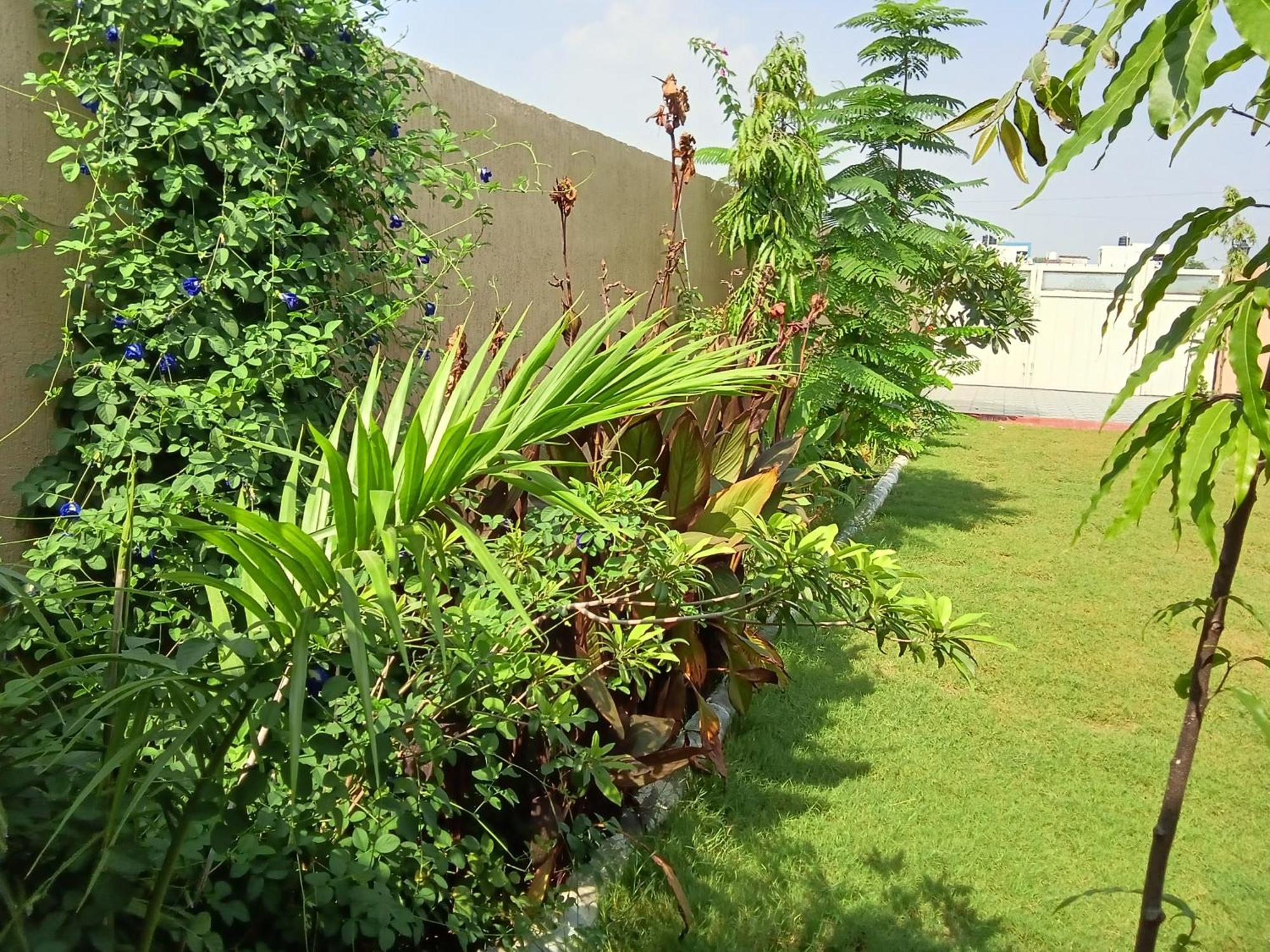Suvarna Farm'S Hotel Watka Exterior photo